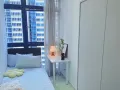 紫线牛车水珍珠坊