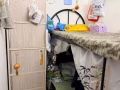 淡濱尼東地鐵站男床位/女床位/有本屋地址/隨時入住