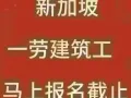 新加坡大型总包公司招一劳钢筋工和木工