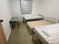 男床位