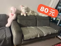 处理二手冰箱   因搬家而处理