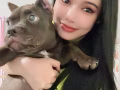 请人照顾狗狗