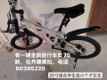 全新20寸山地车