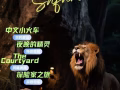 动物园门票转让
