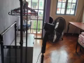 裕廊西排屋房间出租 近南大