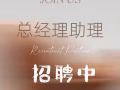 公司招聘总助（非诚勿扰）