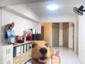 近后港地铁普通房