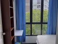近SMU, Kaplan, NAFA