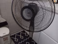 两台16寸立扇便宜卖