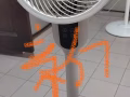 全新风扇
