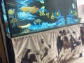 便宜 鱼缸 虎鱼