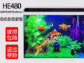 地图鱼和鱼缸