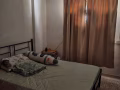 普通房