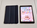 追求实用的来，9.7寸 iPAD PRO，32G，WiFi版，电池🔋92%，低价自取 120，不议价