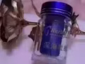 深海牡蛎草本梵，尽显男人阳刚!